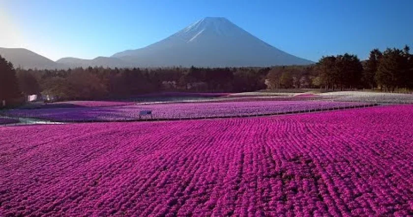 Japonsko z výšky: 1x2 – Ze země sněhu do Tokia