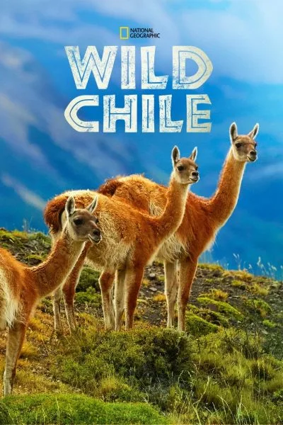 Divoké Chile: 1x1 – 1. epizoda