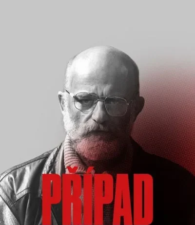 Případ Roubal Plakát Případ Roubal